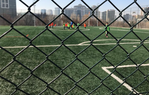 Alambrado para campo de futebol: tela galvanizada ou revestida, qual escolher?