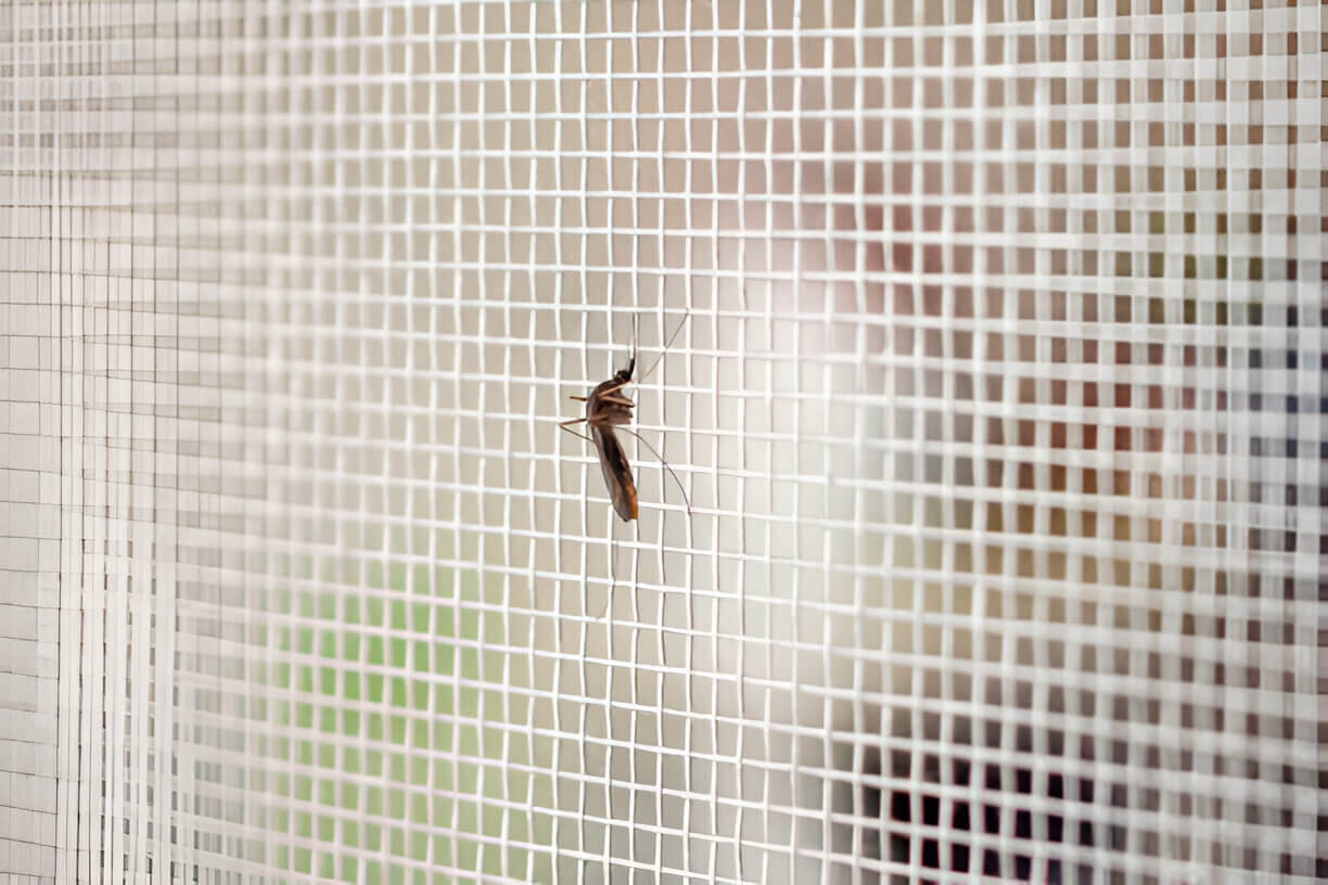 Telas Anti Insetos